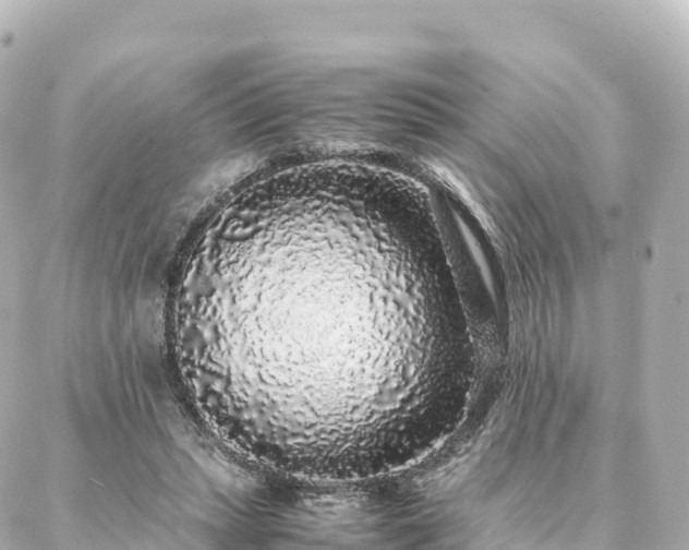 X0000088420447200705291504