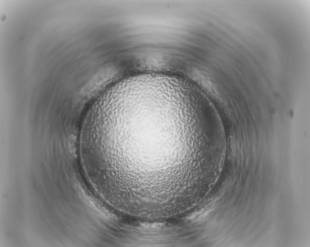 X0000088420450200705291504