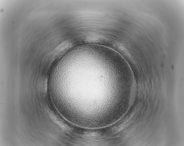 X0000088420454200705291504