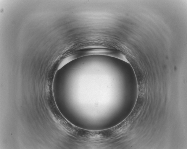 X0000088420456200705291504