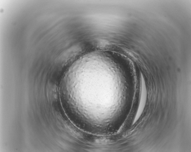 X0000088420470200705291504