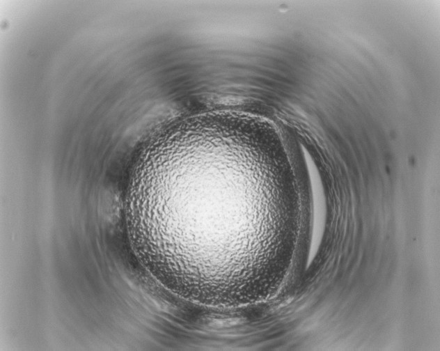 X0000088420555200705291503