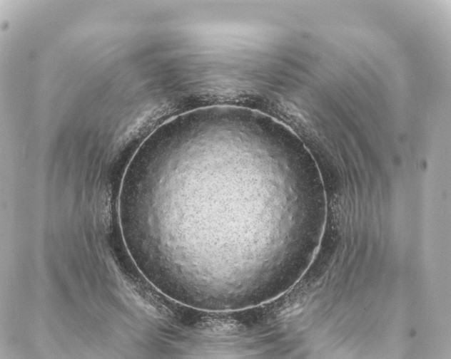 X0000088420642200705291501