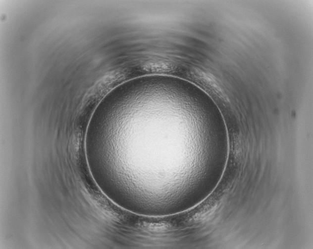 X0000088420645200705291501