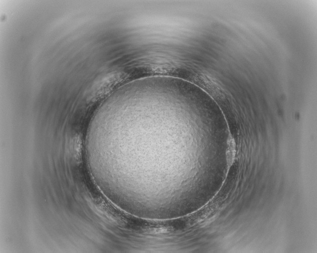 X0000088420646200705291501