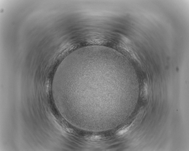 X0000088420647200705291501