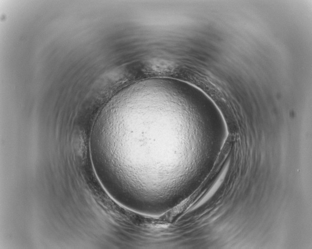 X0000088420651200705291501