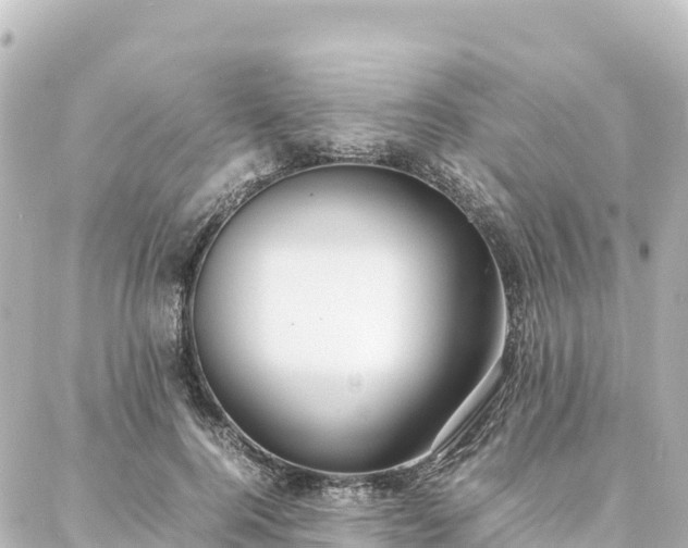 X0000088420744200705291459