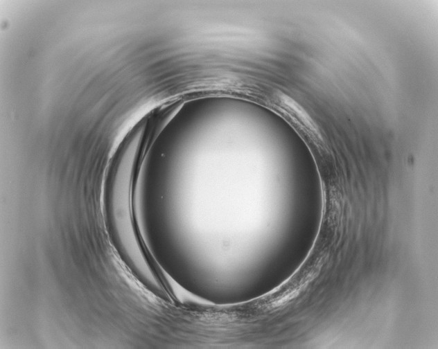 X0000088420788200705291459