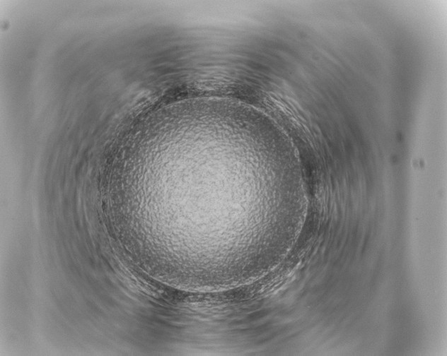 X0000088420817200705291457
