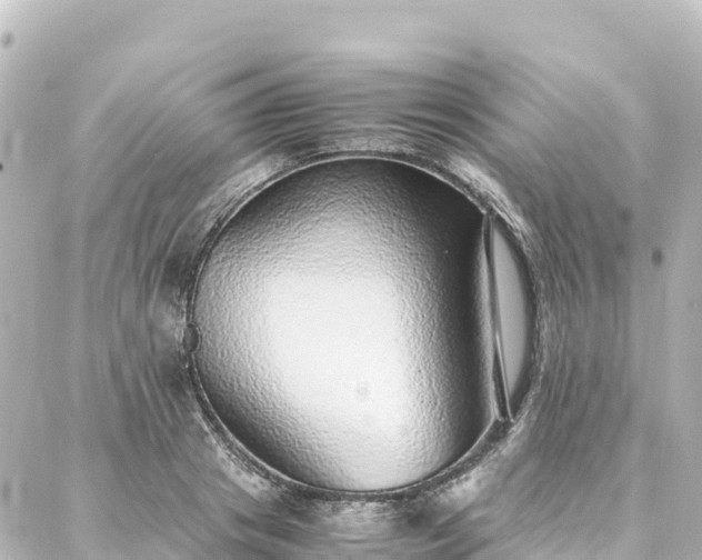 X0000088420841200705291458