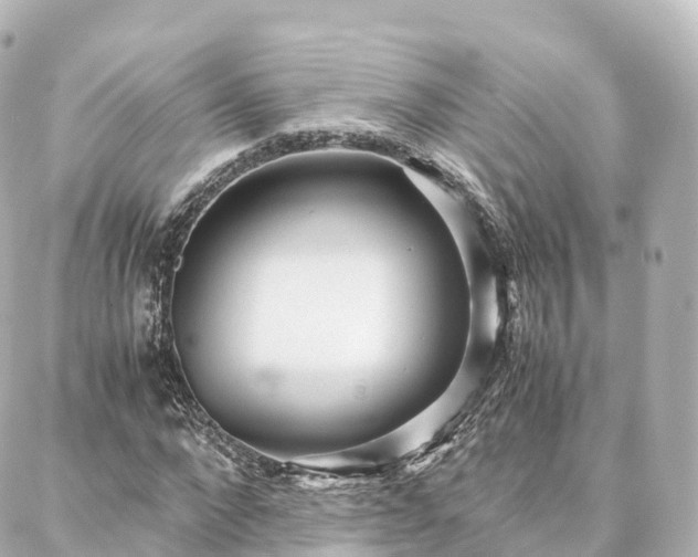X0000088420872200705291457