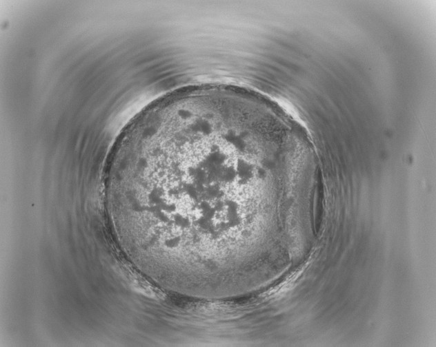 X0000088420879200705291457