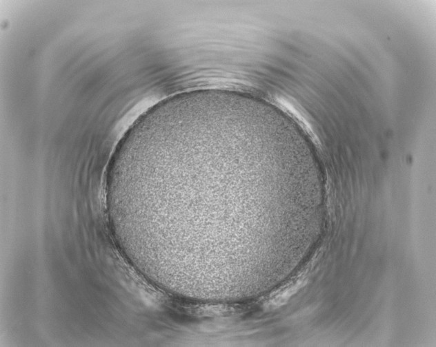 X0000088420883200705291457
