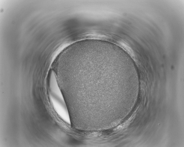 X0000088420891200705291457