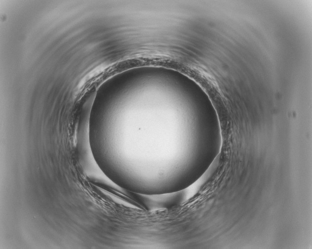 X0000088420920200705291456