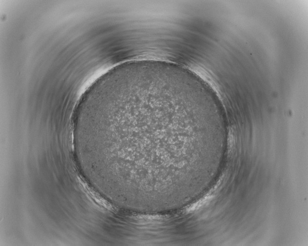 X0000088420925200705291456