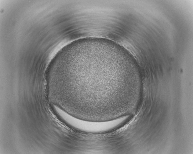 X0000088420926200705291456