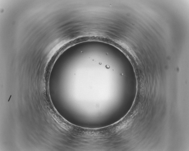 X0000088420927200705291456