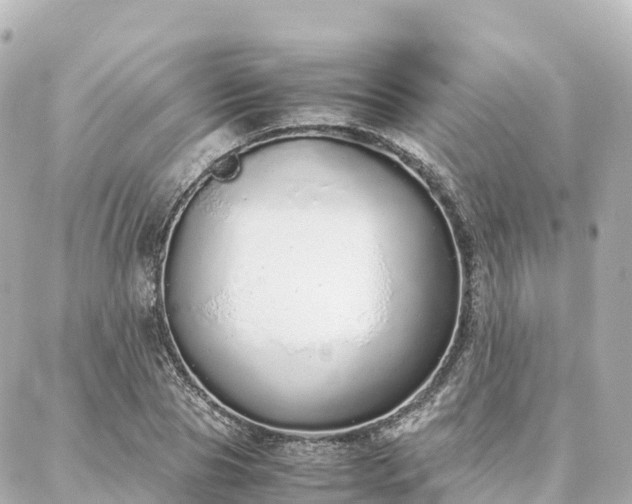 X0000088420929200705291456