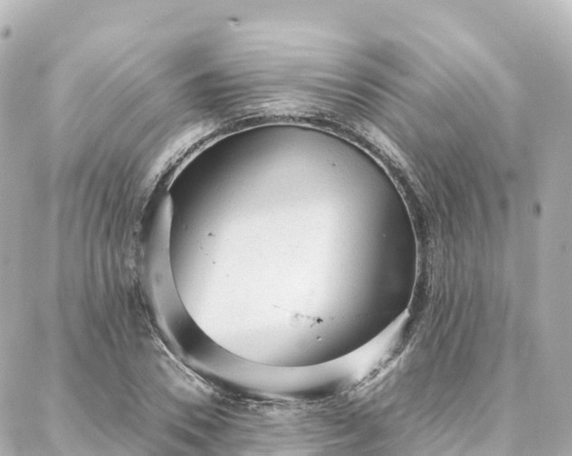 X0000088420930200705291456