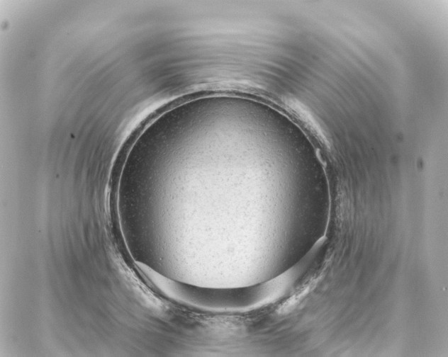 X0000088420932200705291456