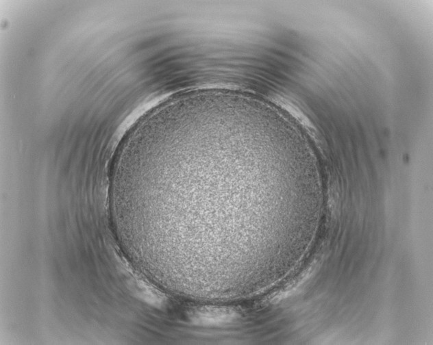 X0000088420933200705291456