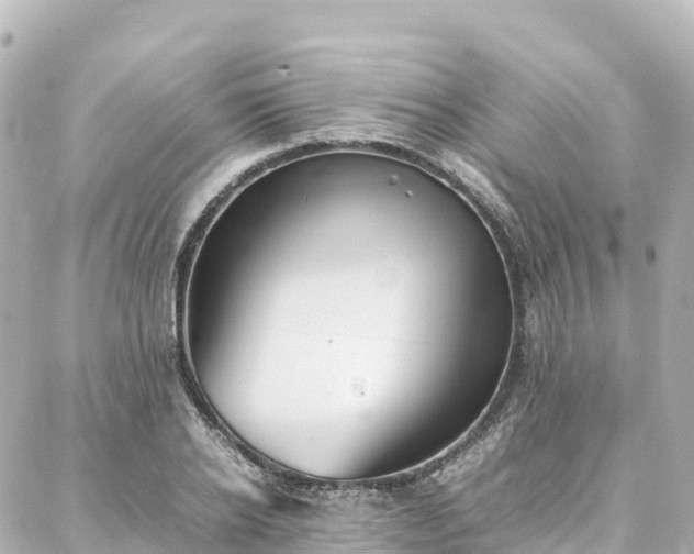 X0000088420934200705291456