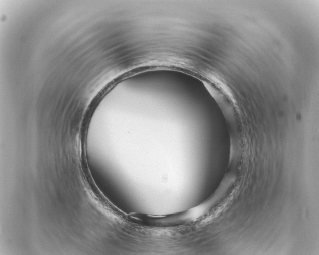 X0000088420936200705291456