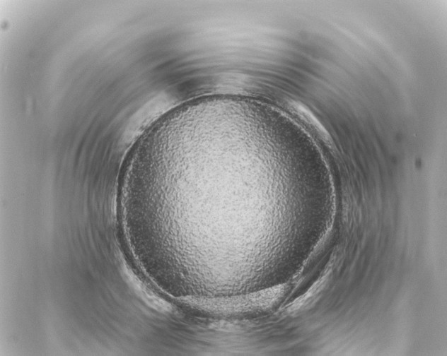 X0000088420938200705291456