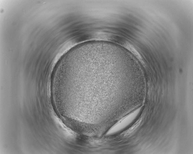 X0000088420939200705291456