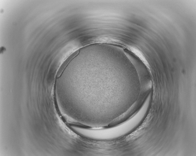 X0000088420946200705291456