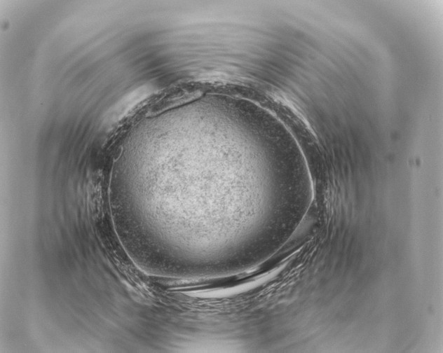 X0000088420968200705291456