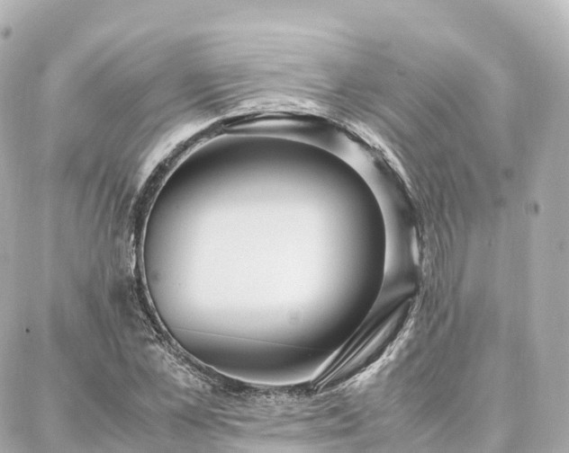 X0000088420973200705291456