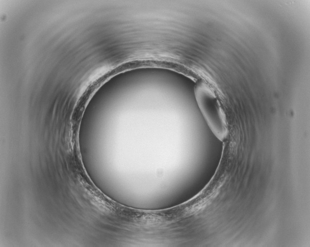 X0000088420974200705291456