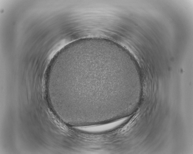 X0000088420975200705291456