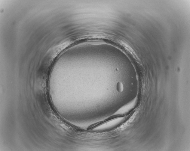 X0000088420977200705291456