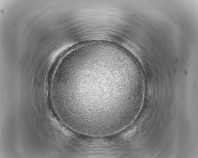 X0000088420979200705291456