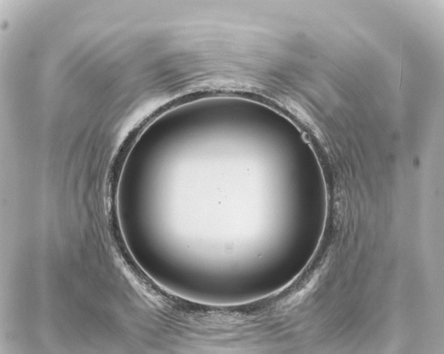 X0000088420981200705291456