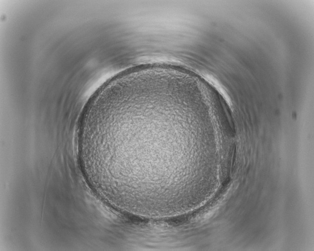 X0000088420983200705291456