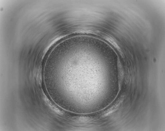 X0000088420984200705291456