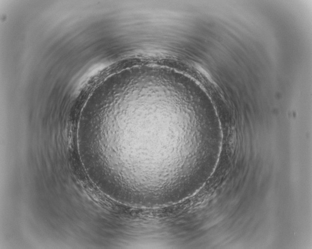 X0000088421016200705291455