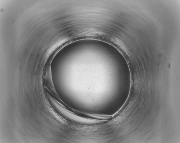 X0000088421026200705291455