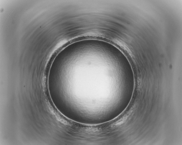 X0000088421029200705291455