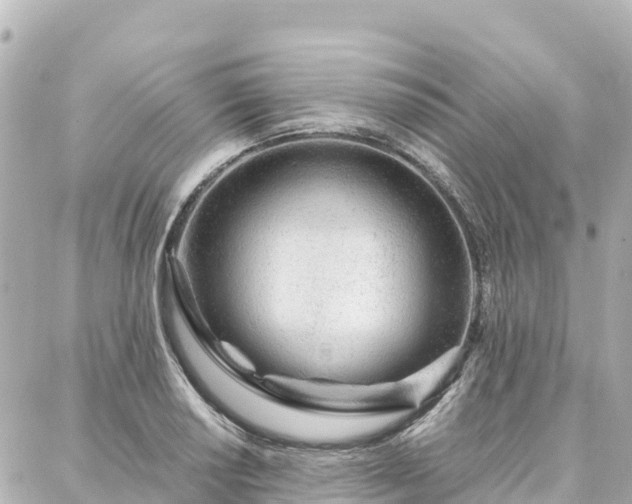 X0000088421034200705291455