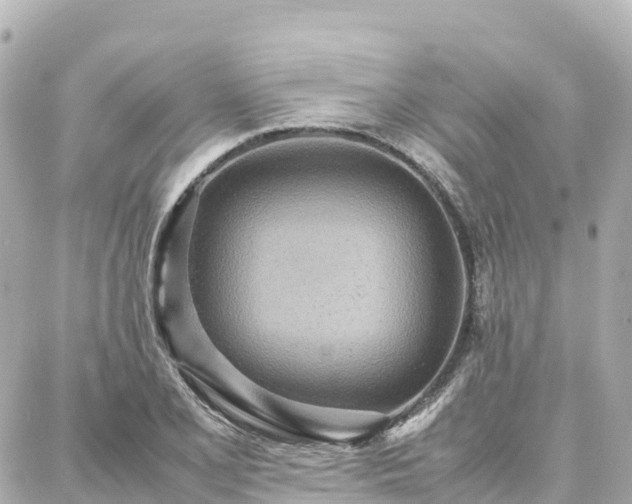 X0000088421077200705291454