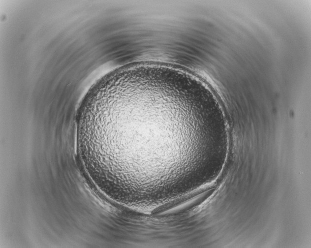 X0000088421123200705291453