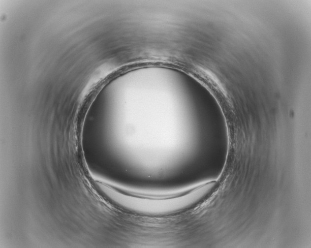 X0000088421172200705291453
