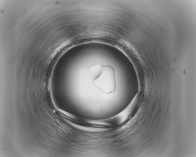 X0000088421210200705291451