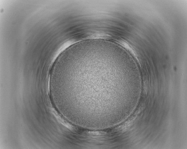 X0000088421227200705291452